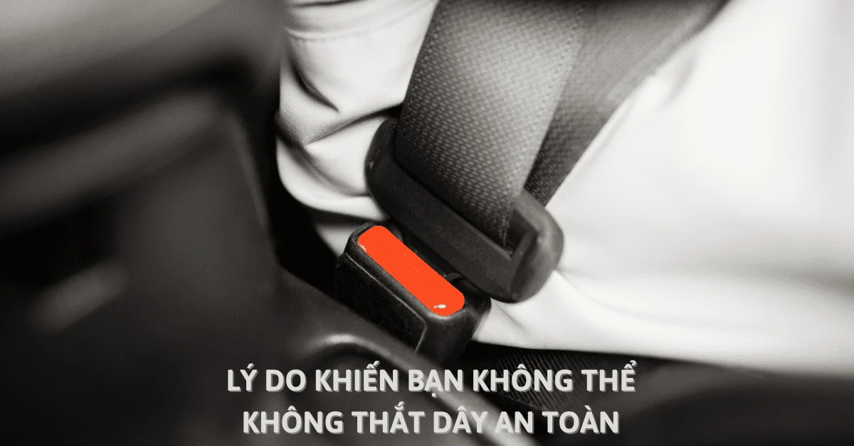 Không bị xử phạt cũng là lý do nên thắt dây an toàn trên ô tô (Ảnh: Sưu tầm Internet)