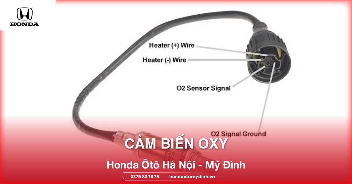 Cảm biến oxy