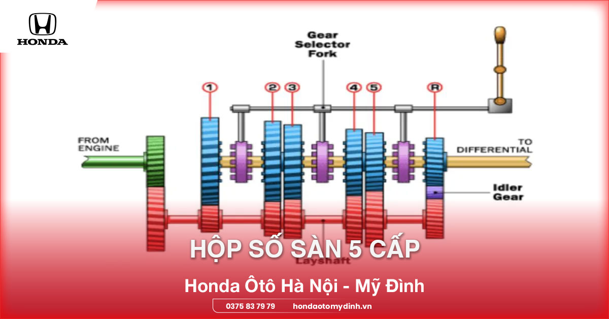 Hộp số sàn 5 cấp