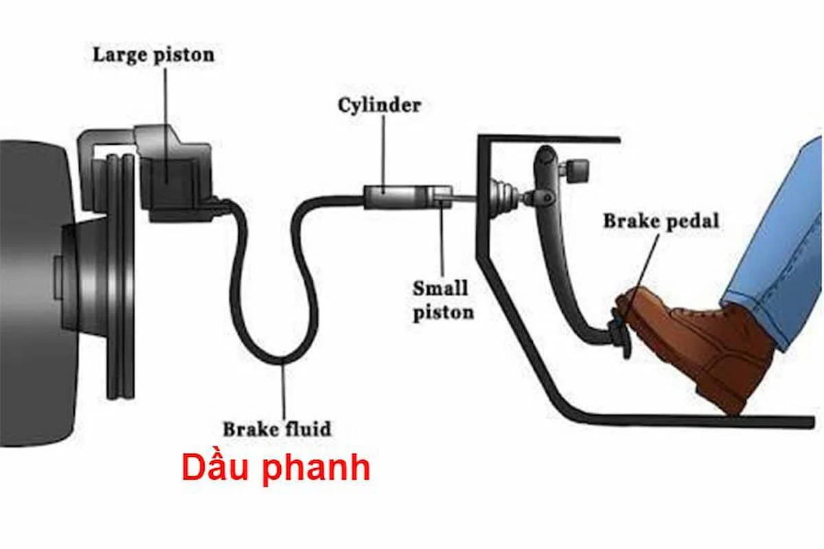 Phanh thủy lực lắp đặt ở cụm bánh xe ô tô có nhiệm vụ tạo ra lực ma sát với bánh (Ảnh: Sưu tầm internet)