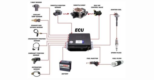 ECU ô tô: Cấu tạo, chức năng & 5 Cách khắc phục sự cố hiệu quả