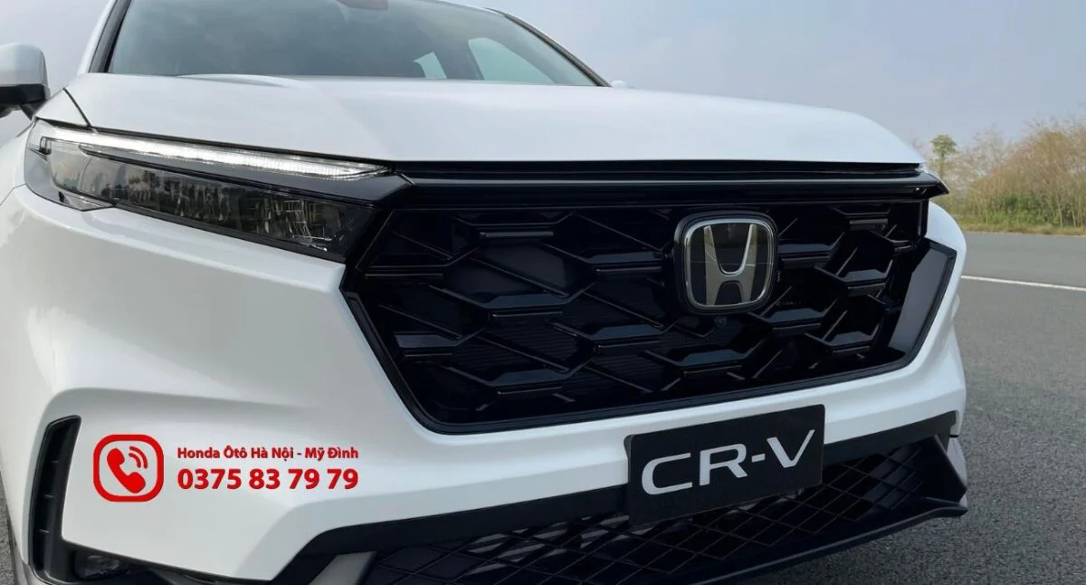 Cụm lưới tản nhiệt hình quả trám cỡ lớn ấn tượng