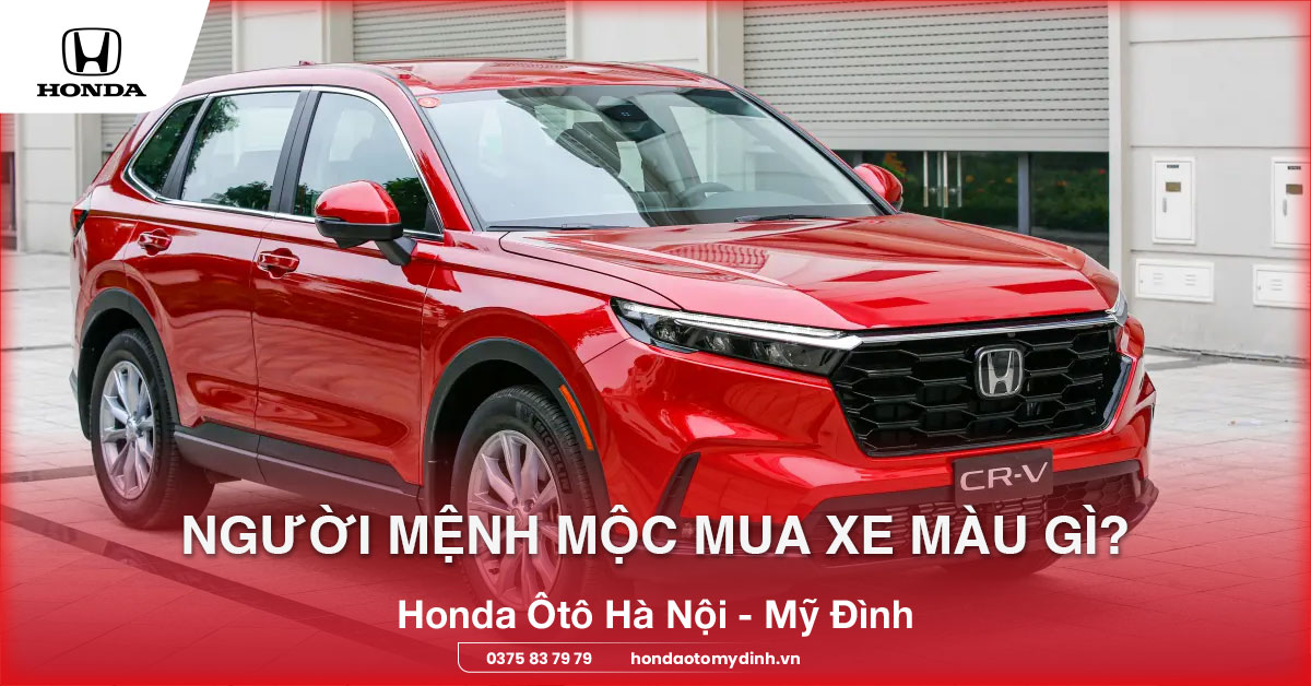 Người mệnh Mộc mua xe màu gì