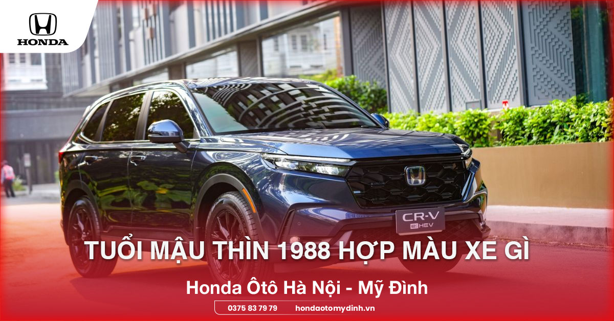 tuổi mậu thìn 1988 hợp màu xe gì