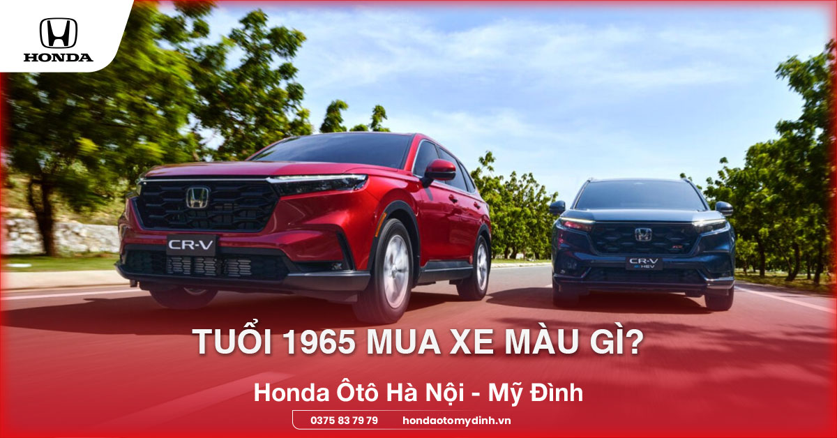 Tuổi 1965 mua xe màu gì?