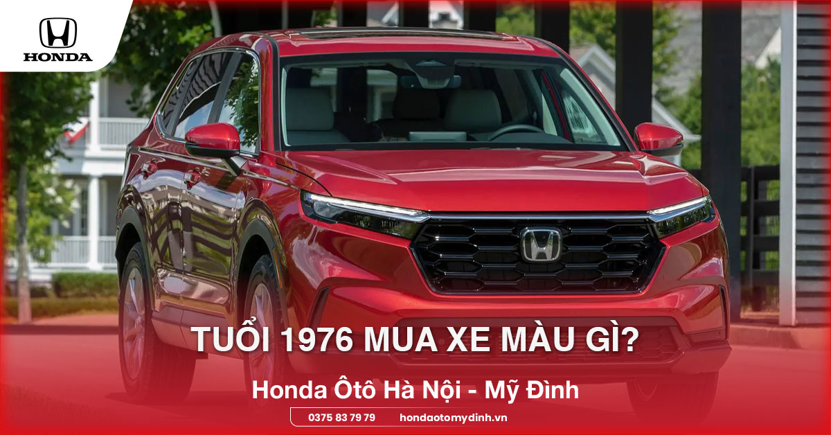 Tuổi 1976 mua xe màu gì