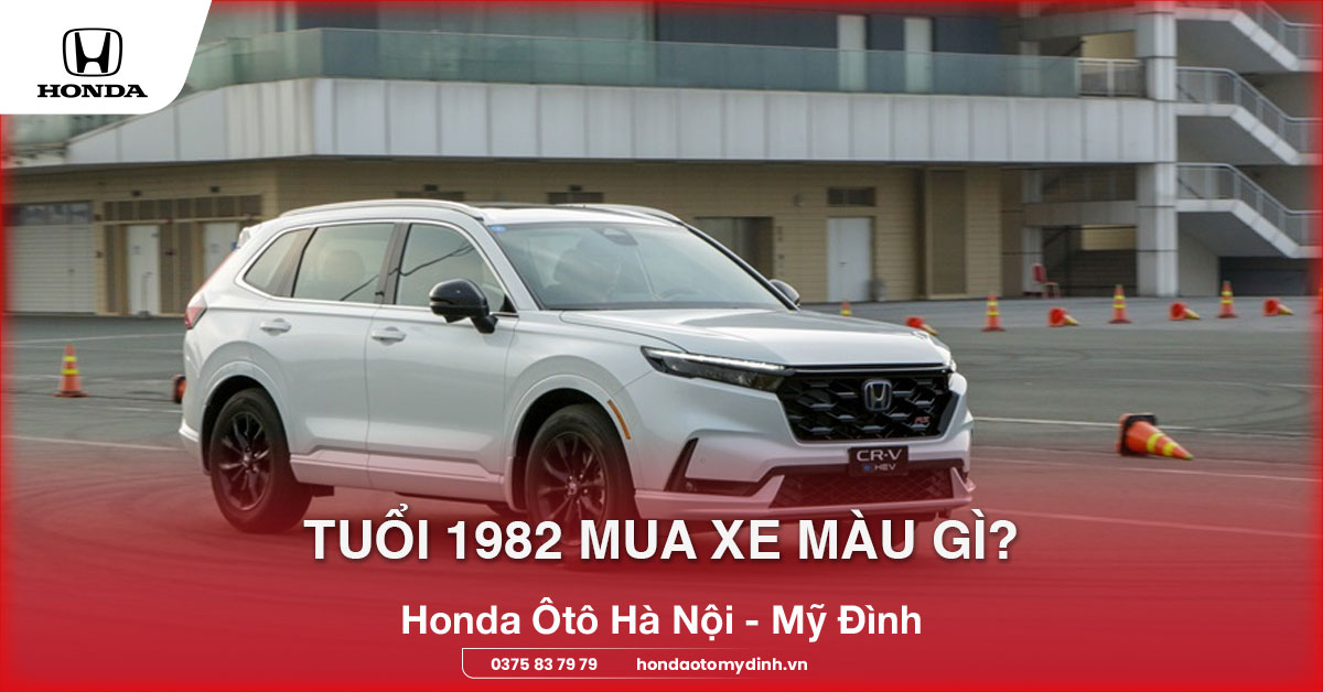 Tuổi 1982 mua xe màu gì?