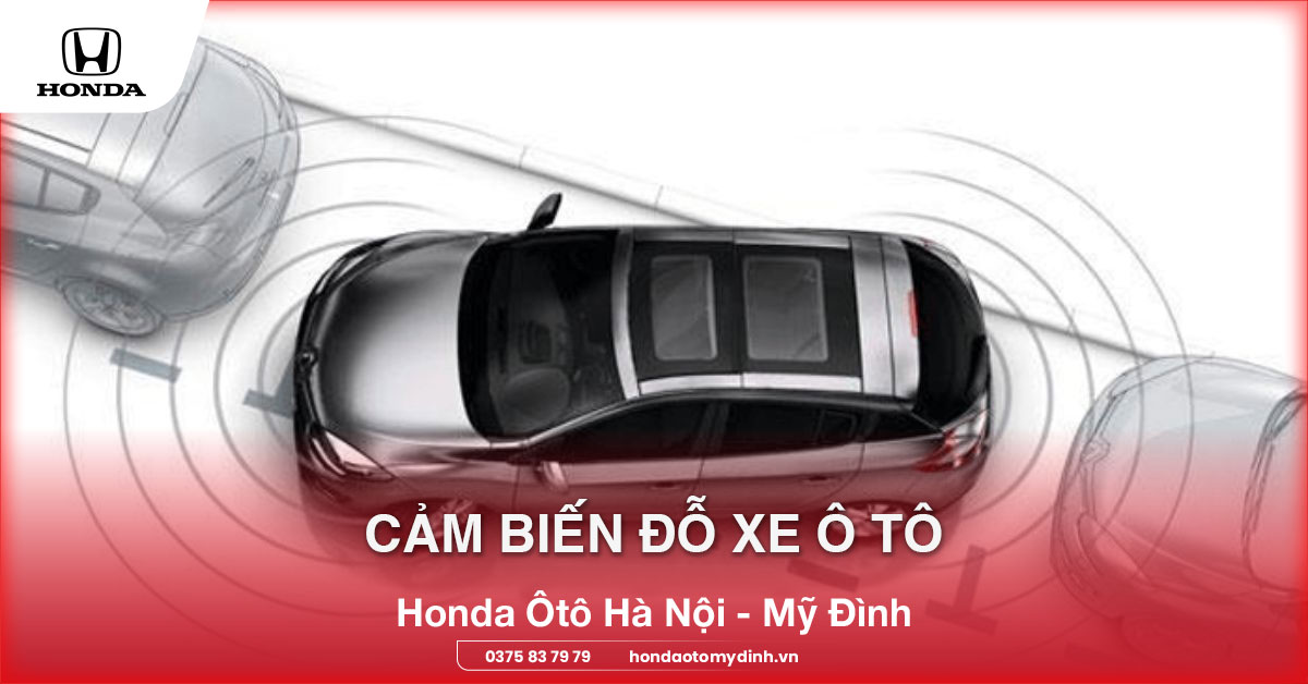 Cảm biến đỗ xe ô tô