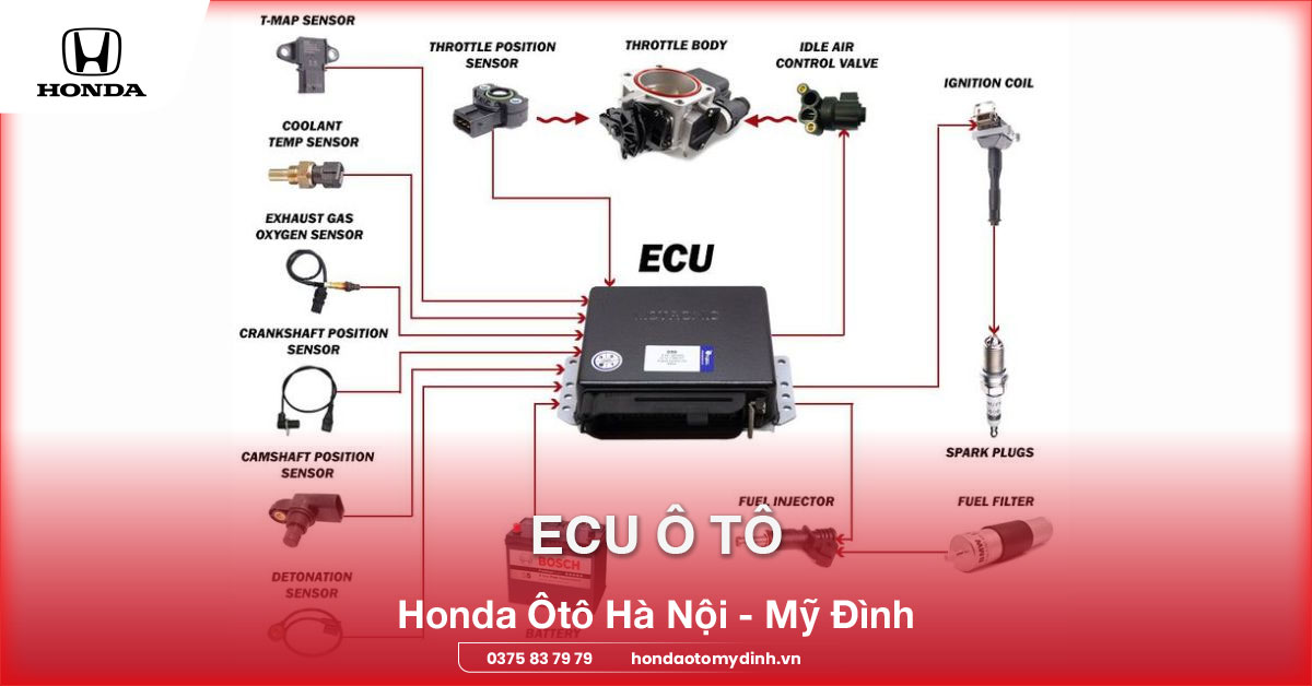 ECU ô tô