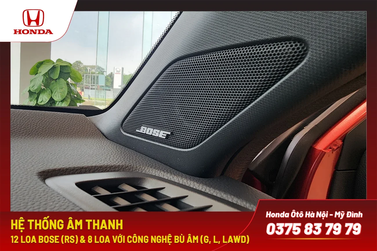 Hệ thống loa cao cấp cho trải nghiệm âm thanh sống động và chân thực