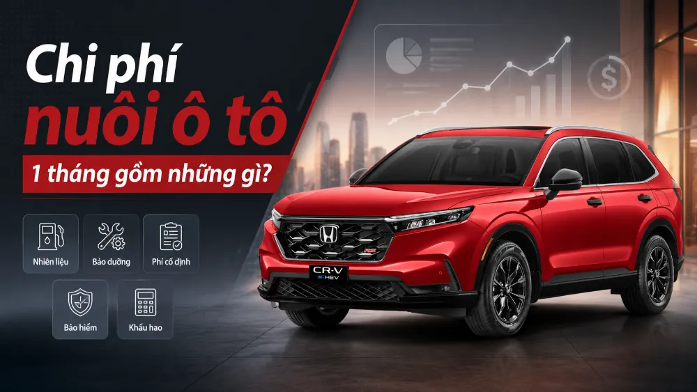 Chi phí nuôi ô tô 1 tháng gồm những khoản nào